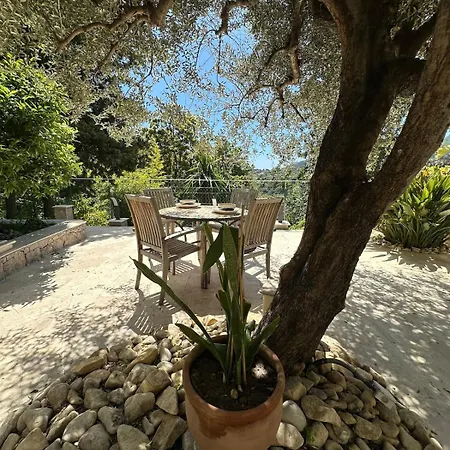 Miron * Menton